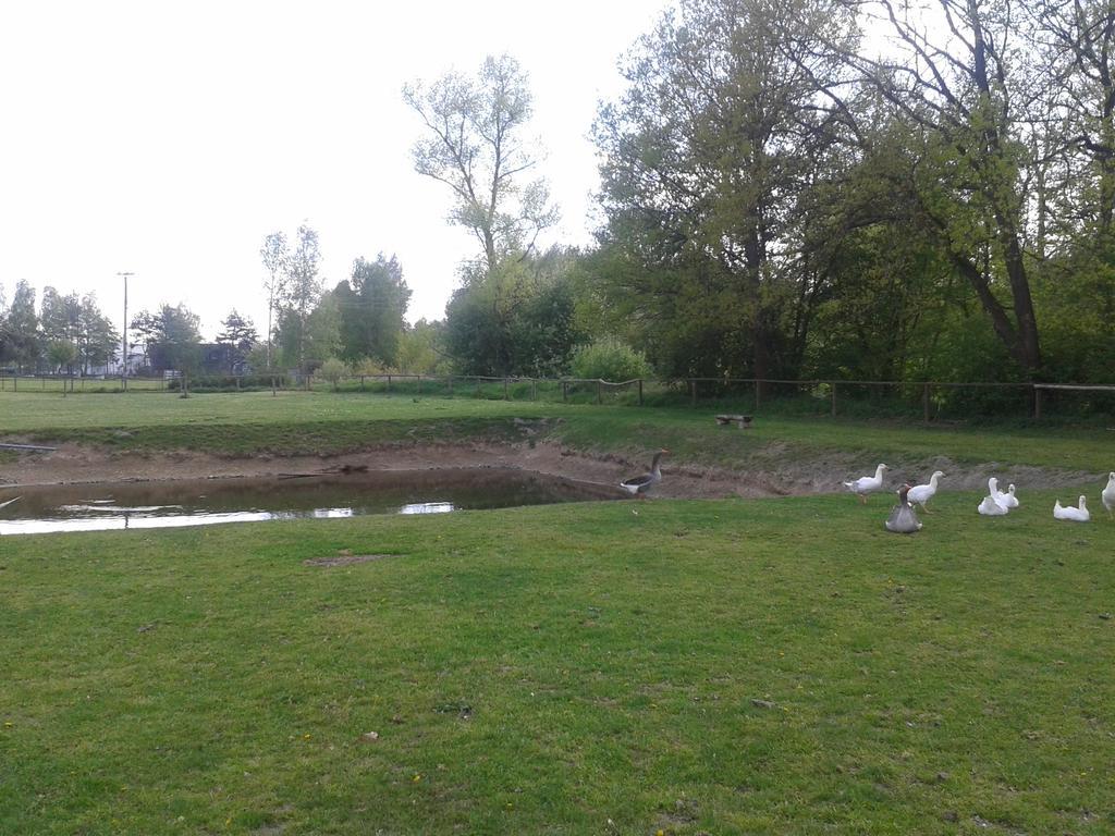 Chata Zahrada Madeta Veselí nad Lužnicí Екстериор снимка